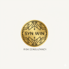 logo syn win